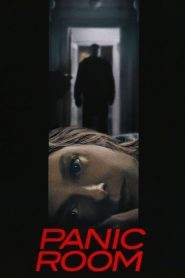 Panic Room (2002)