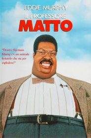 Il professore matto (1996)