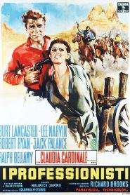 I professionisti (1966)