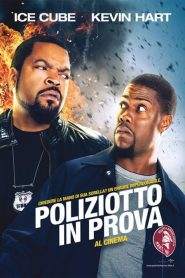 Poliziotto in prova (2014)