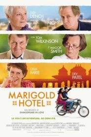 Marigold Hotel (2011)