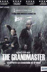 The Grandmaster (2013)