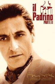 Il padrino – Parte II (1974)