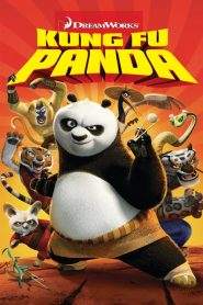 Kung Fu Panda (2008)