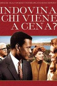 Indovina chi viene a cena? (1967)