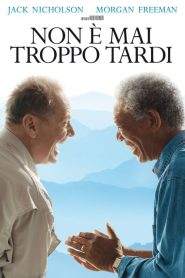 Non è mai troppo tardi (2007)