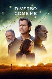 Diverso come me (2017)