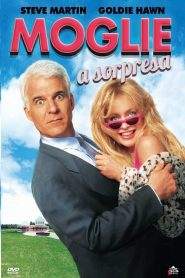 Moglie a sorpresa (1992)