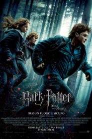 Harry Potter e i doni della morte – Parte 1 (2010)