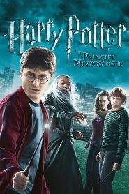 Harry Potter e il principe mezzosangue (2009)