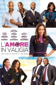 L’amore in valigia (2013)