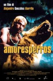 Amores perros (2000)