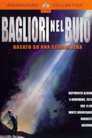 Bagliori nel buio (1993)