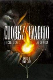 Cuore selvaggio (1990)