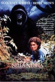 Gorilla nella nebbia (1988)