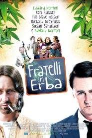 Fratelli in erba (2009)