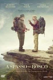 A spasso nel bosco (2015)