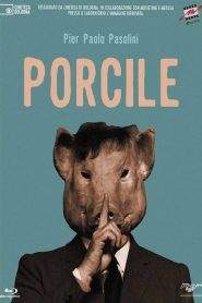 Porcile (1969)