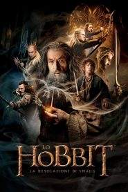 Lo Hobbit: La desolazione di Smaug (2013)