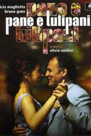 Pane e tulipani (2000)