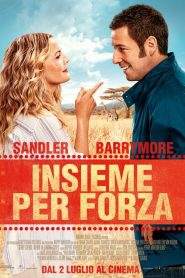 Insieme per forza (2014)