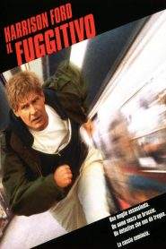 Il fuggitivo (1993)