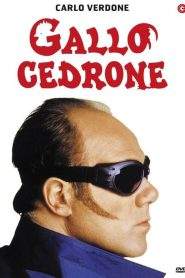 Gallo cedrone (1998)