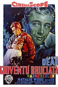 Gioventù bruciata (1955)