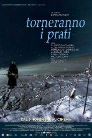 Torneranno i prati (2014)