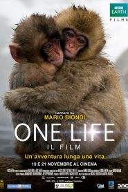 One Life (2011)