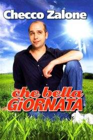 Che bella giornata (2011)