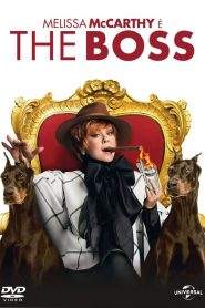 The Boss (2016)