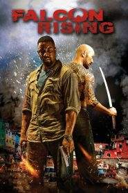 Falcon Rising (2014)