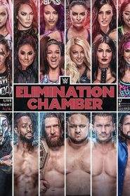 WWE Elimination Chamber (2019)