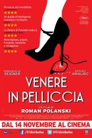 Venere in pelliccia (2013)