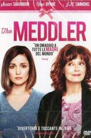 The Meddler (2016)