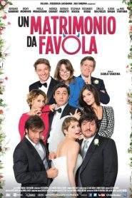 Un matrimonio da favola (2014)