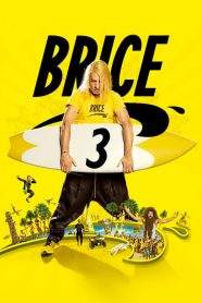 Brice contro Brice (2016)