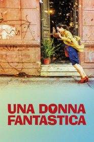 Una donna fantastica (2017)