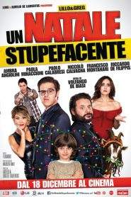 Un Natale stupefacente (2014)