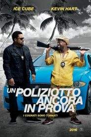 Un poliziotto ancora in prova (2016)