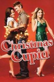 Cupido a Natale (2010)