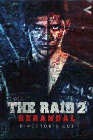 The Raid 2: Berandal (2014)