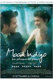 Mood Indigo – La schiuma dei giorni (2013)