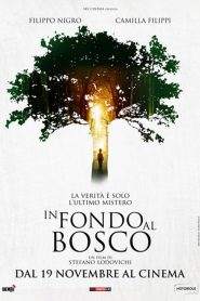 In fondo al bosco (2015)