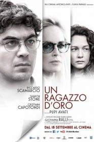 Un ragazzo d’oro (2014)