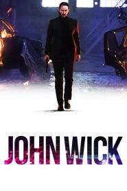 John Wick (2014)