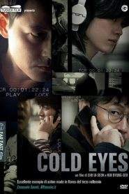 Cold Eyes (2013)