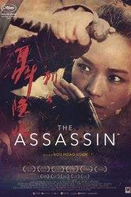 The Assassin (2015)