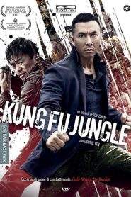 Kung Fu Jungle (2014)